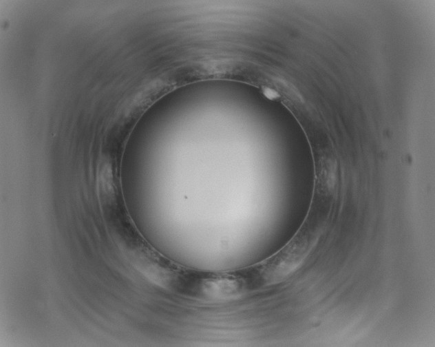 X0000072500220200607141137