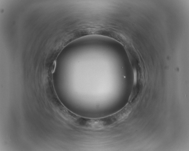 X0000072500221200607141137