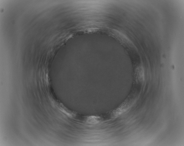 X0000072500222200607141137