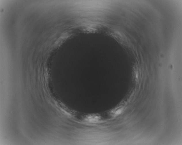 X0000072500223200607141137