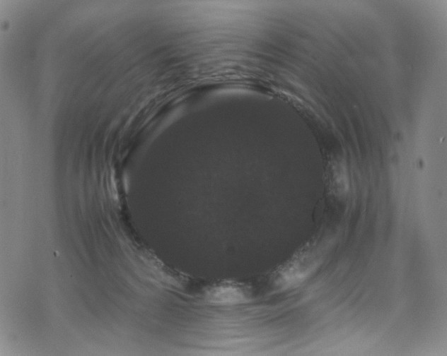 X0000072500224200607141137