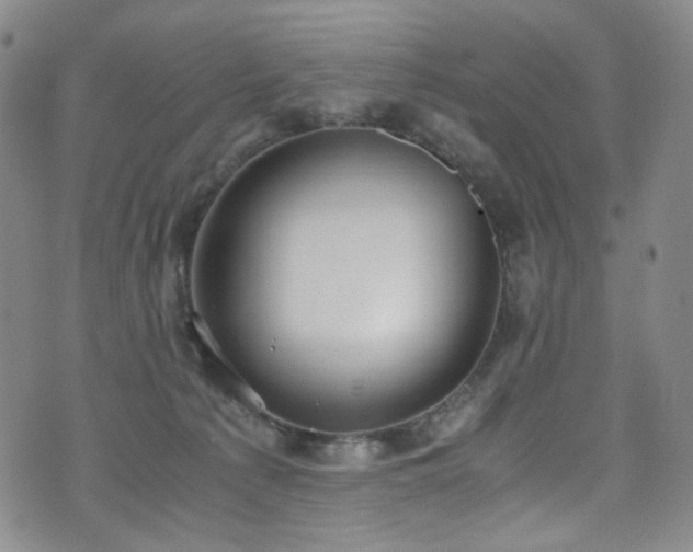 X0000072500225200607141137