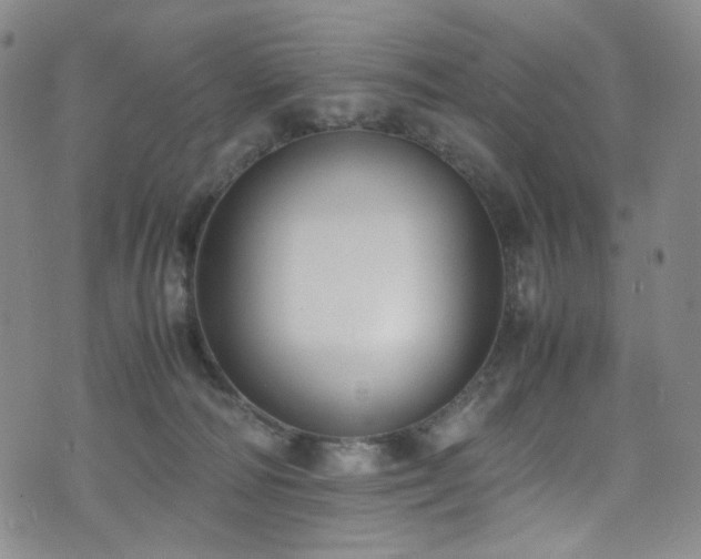 X0000072500226200607141137