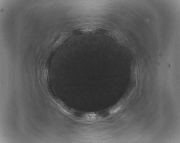 X0000072500227200607141137