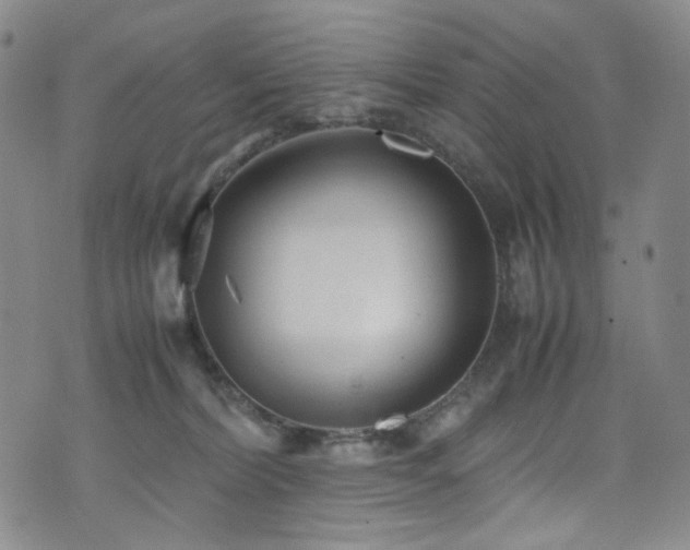 X0000072500228200607141137