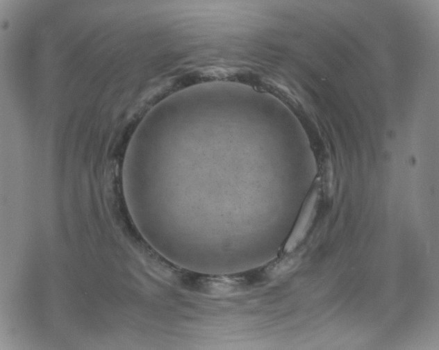 X0000072500229200607141137