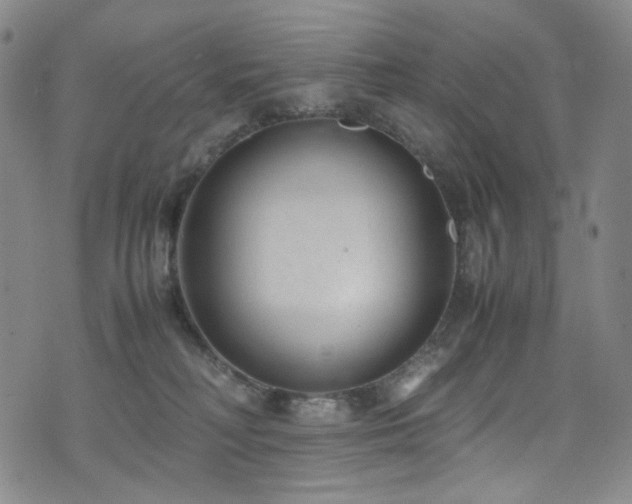 X0000072500230200607141137