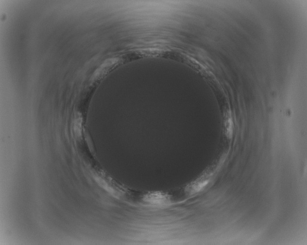 X0000072500231200607141137