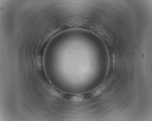 X0000072500232200607141137