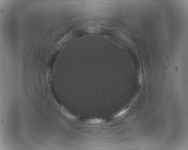 X0000072500233200607141137