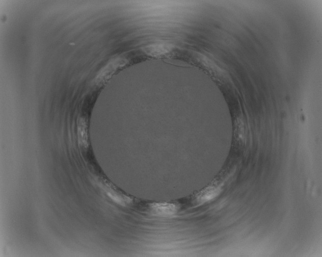 X0000072500234200607141137