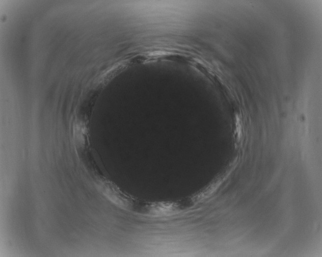 X0000072500235200607141137