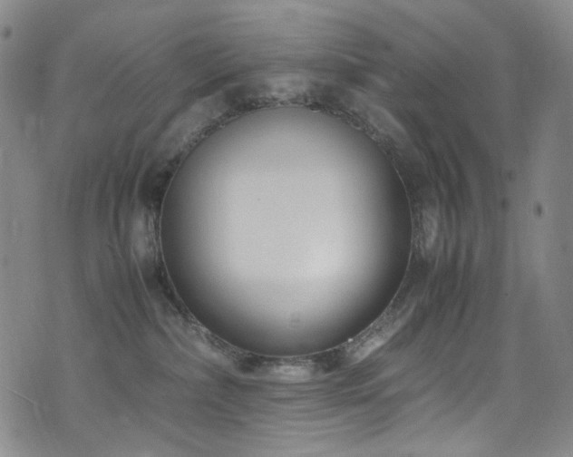 X0000072500236200607141137