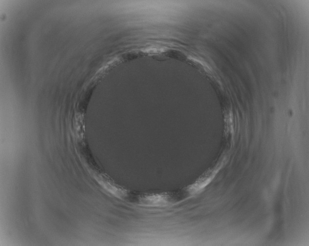 X0000072500237200607141137