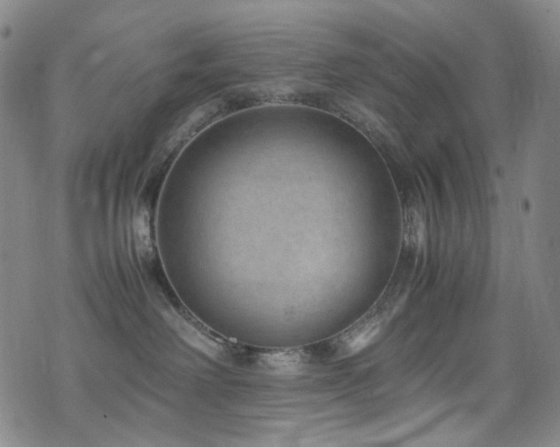 X0000072500238200607141137