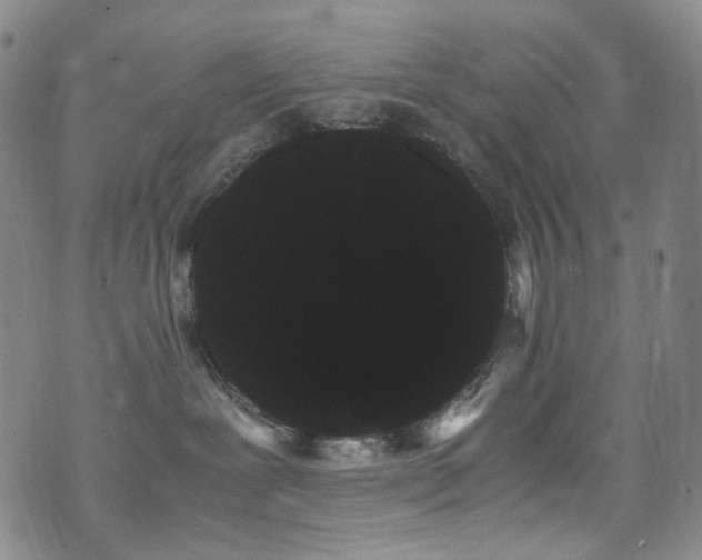 X0000072500239200607141137