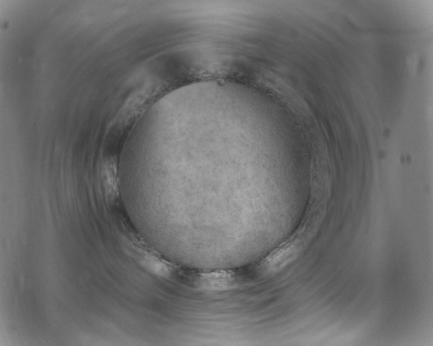 X0000072500240200607141137