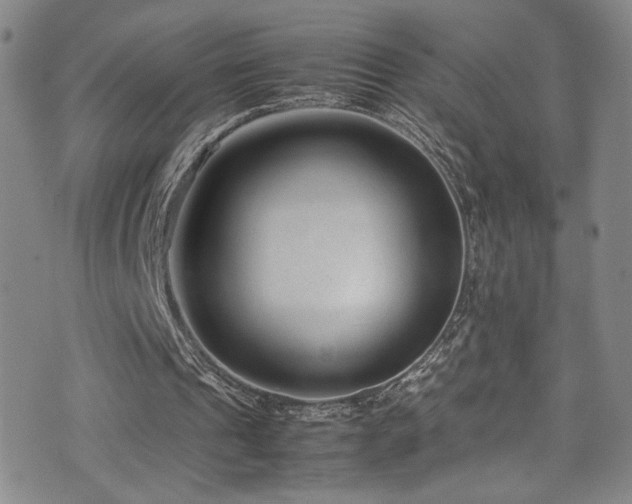 X0000072500241200607141136