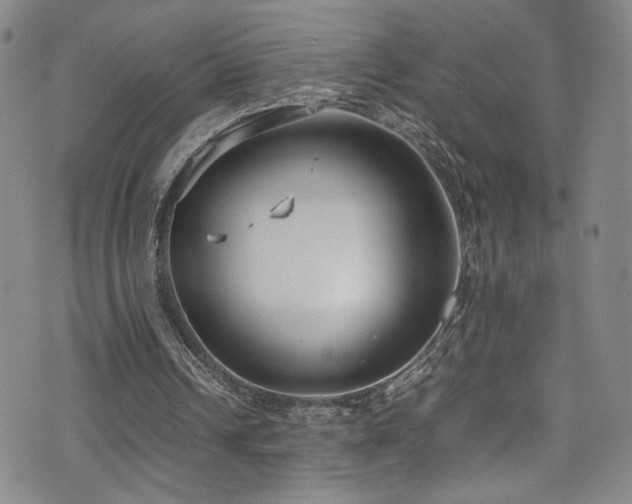 X0000072500242200607141136