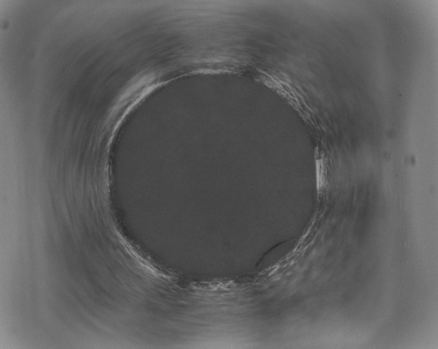 X0000072500243200607141136