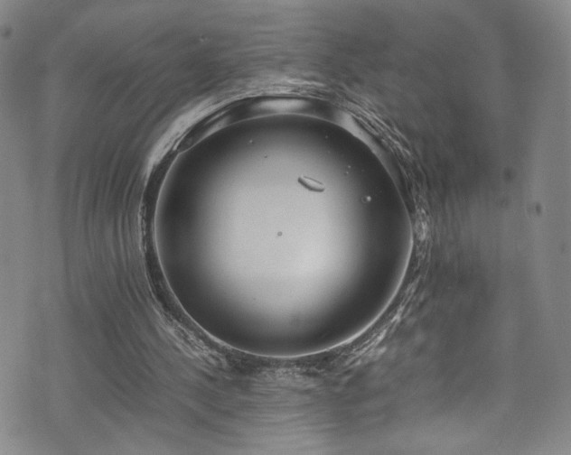 X0000072500244200607141136