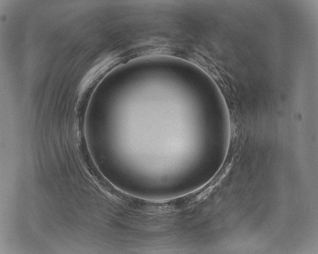 X0000072500245200607141136