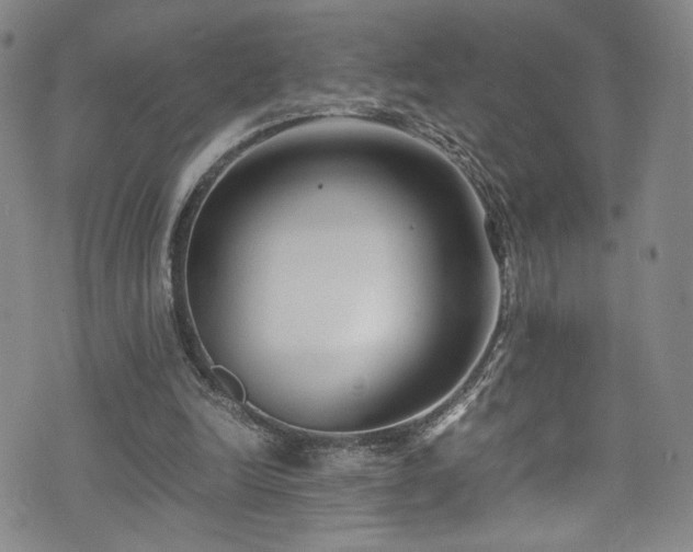 X0000072500246200607141136