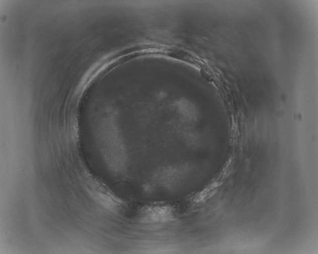 X0000072500247200607141136