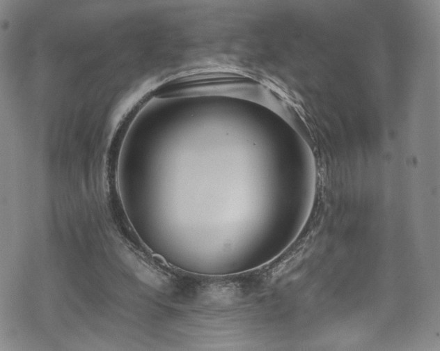 X0000072500248200607141136