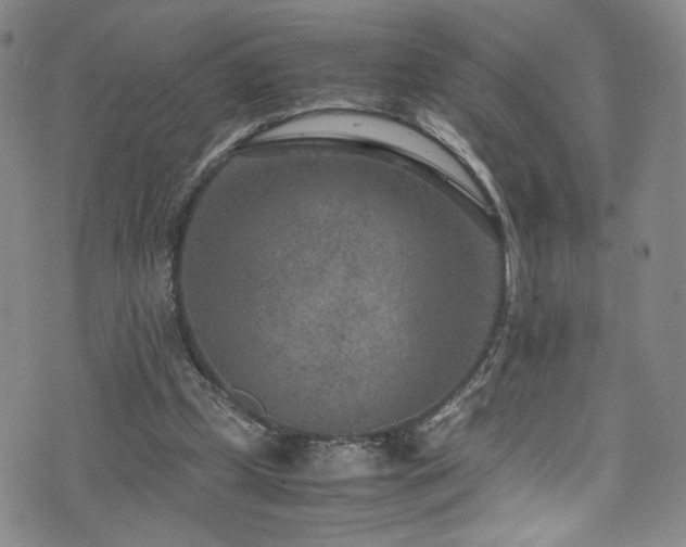 X0000072500249200607141136