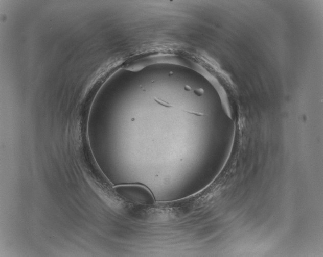 X0000072500250200607141136