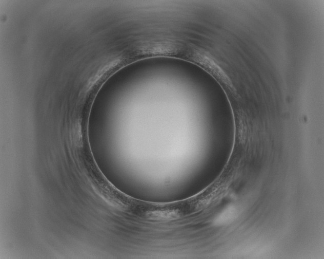 X0000072500251200607141136