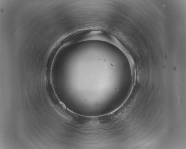 X0000072500252200607141136