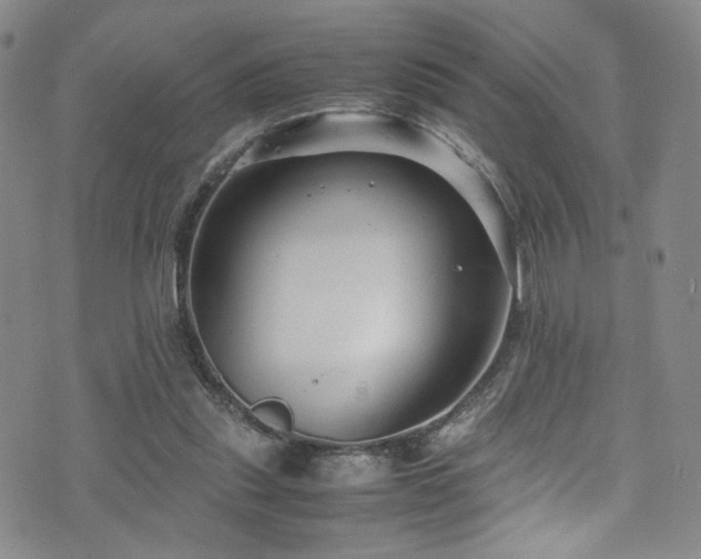 X0000072500253200607141137