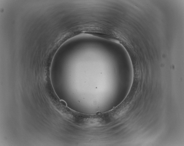 X0000072500255200607141137