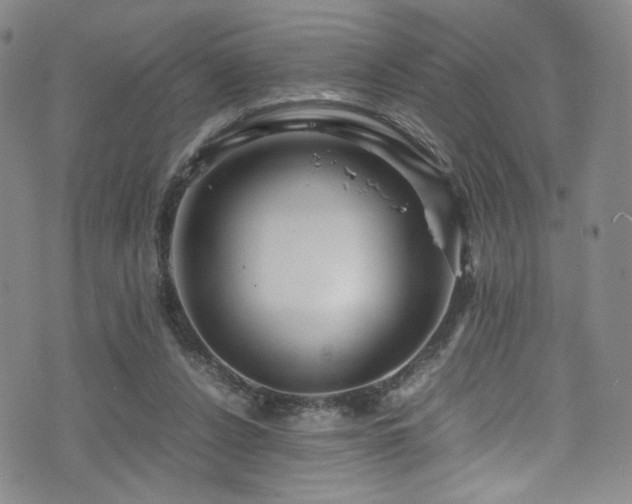 X0000072500256200607141137