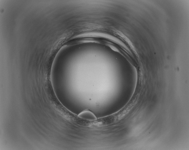 X0000072500257200607141137