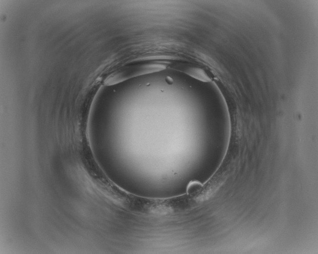 X0000072500258200607141137