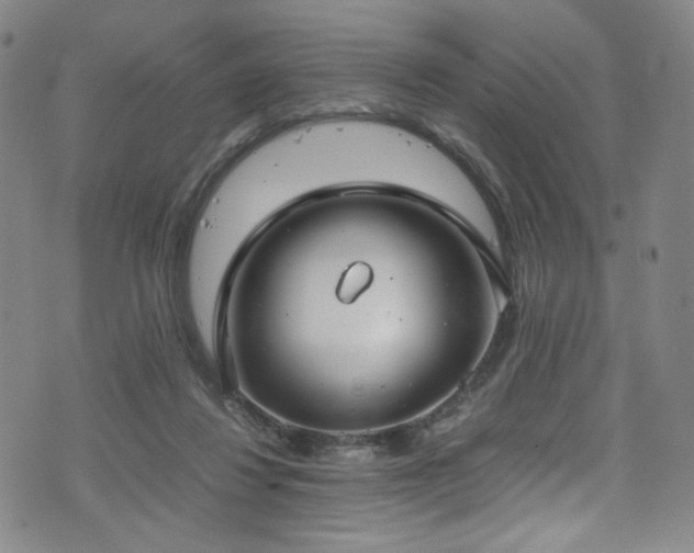 X0000072500260200607141137