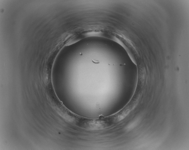 X0000072500261200607141137