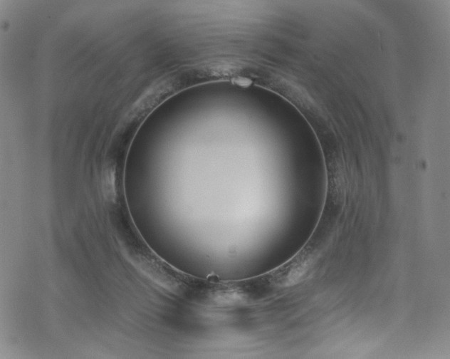 X0000072500262200607141137