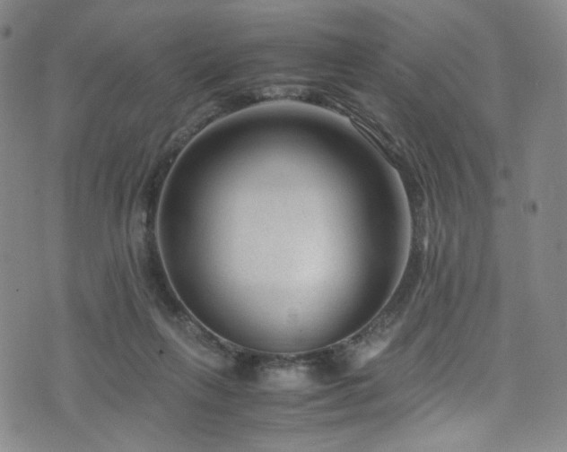 X0000072500263200607141137