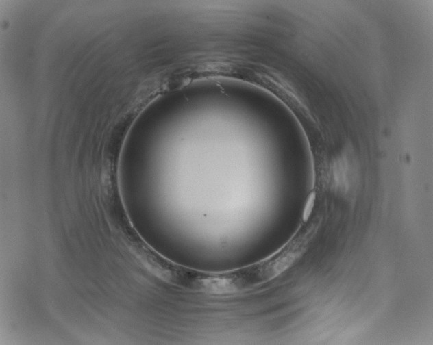 X0000072500265200607141137