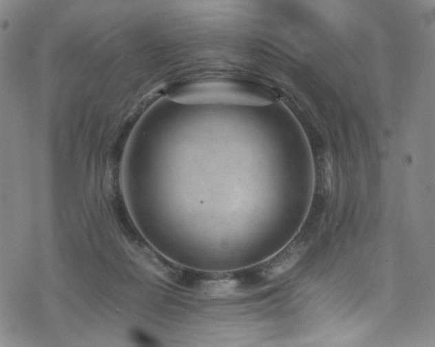 X0000072500266200607141137