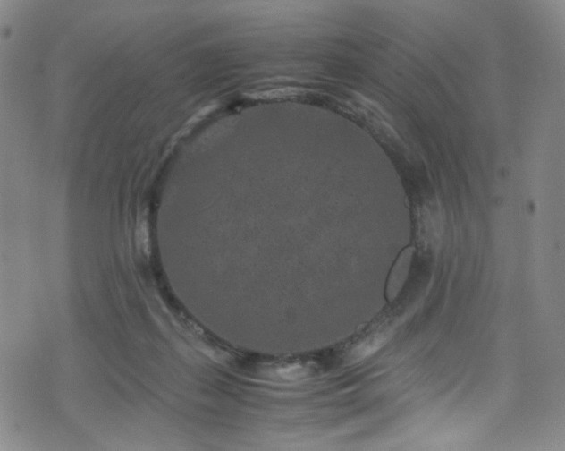 X0000072500267200607141137