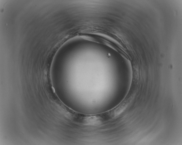 X0000072500269200607141137