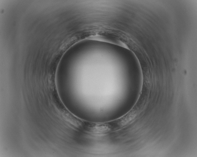 X0000072500270200607141137