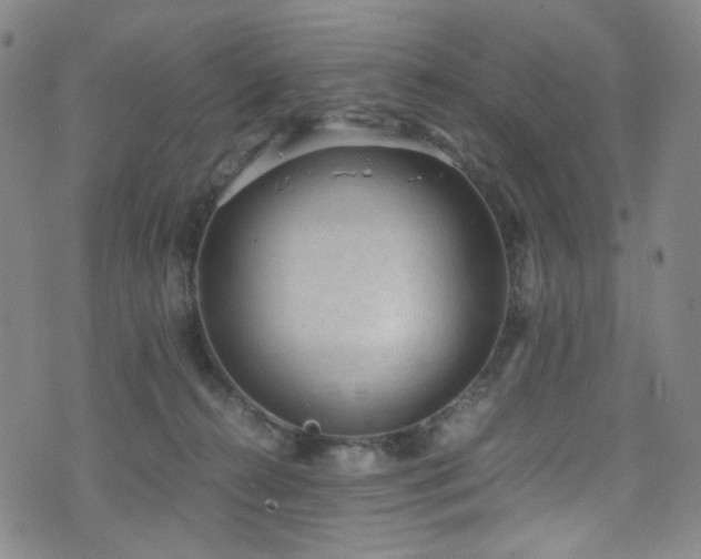 X0000072500272200607141137