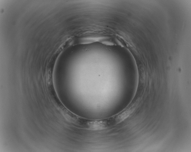 X0000072500273200607141137