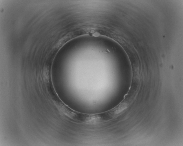 X0000072500274200607141137